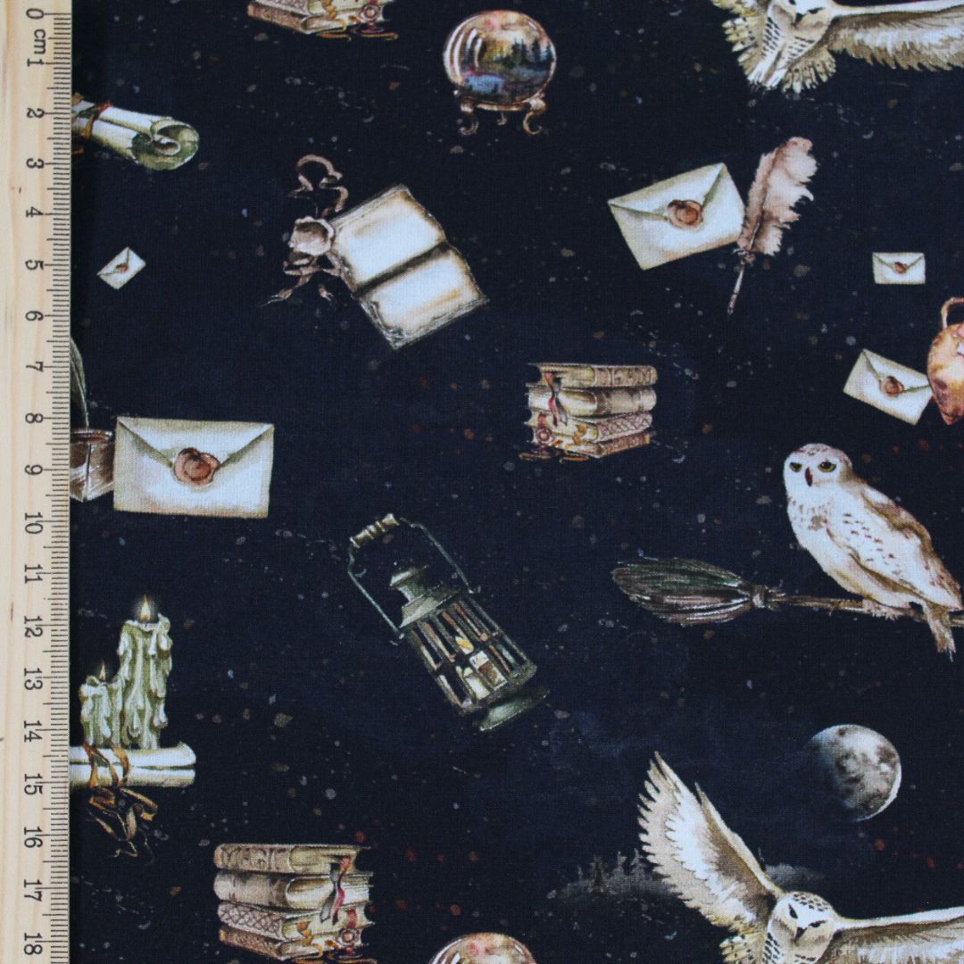Baumwoll Jersey Magische Schule mit fantasievollen Motiven aus der Zauberwelt, perfekt für Nähen von Leggings, Loopschals und Accessoires.