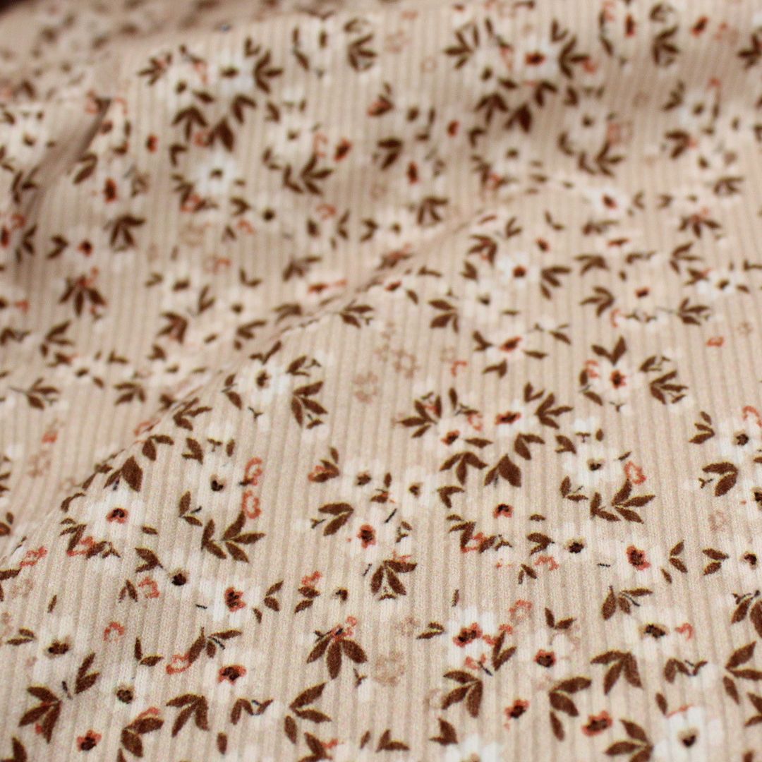 Nahaufnahme Rippenjersey kleine weiße Blumen auf Beige