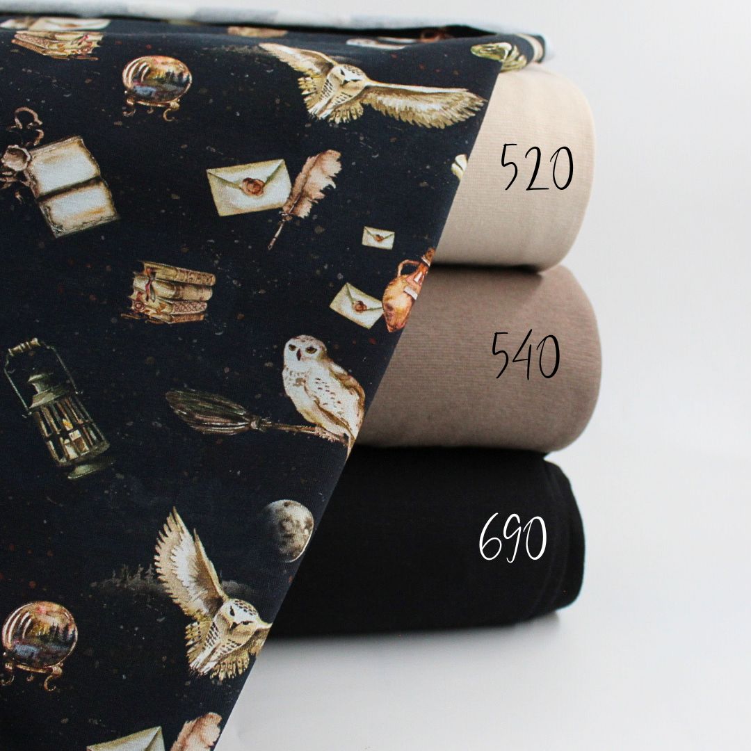 Jersey Stoff "Magische Schule" - Stofftime